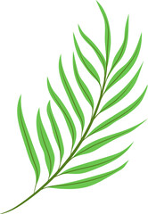 floral leaves, floral leaf, design, nature, summer, illustration, vector, spring, foliage