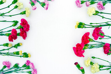 Floral composition. Frame made of fresh carnation yellow, red and pink flowers on white background. Spring, summer concept. Flat lay, top view, copy space
