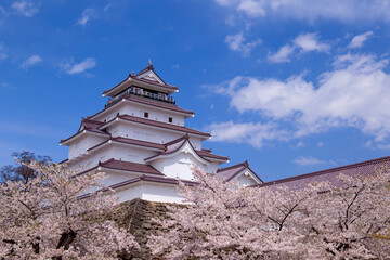 快晴の鶴ヶ城と桜