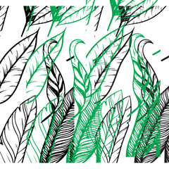 Leaf line art drawing. leaf line art contour drawing art vector
