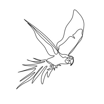 Animals bird continuous single line art drawing. Bird minimal art style. Bird continuous line art illustration.	