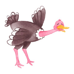Ostrich . Watercolor paint design . Cute animal cartoon character . Running gesture . Vector .