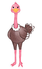 Ostrich . Watercolor paint design . Cute animal cartoon character . Standing gesture . Vector .
