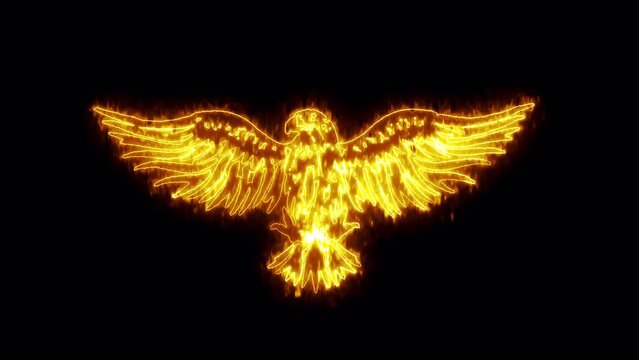 Burning Eagle isolated on black background