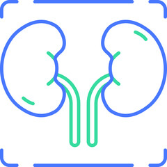  kidney