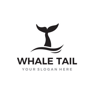 Whale mammal tail animal logo template design with water waves concept.