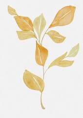 watercolor leaves jpg, leaf, flowers, watercolor, drawing, illustration, foliage, botanical, wreath