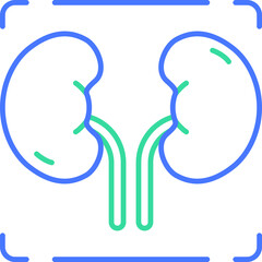 kidney line icon