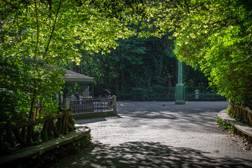 paisaje de primavera con el campo y flores en la España central en primavera	