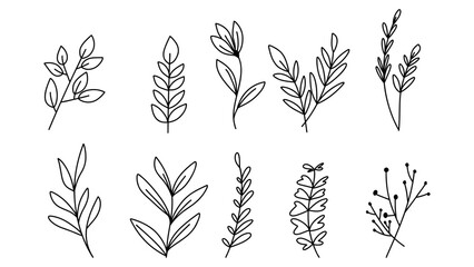Line drawing minimalist flowers ,hand drawn elements , flat Modern design isolated on white background ,Vector illustration EPS 10