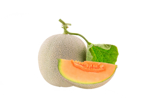 cantaloupe melon isolated on transparnt png
