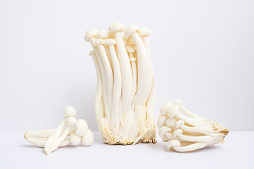 White beech or shimeji edible mushrooms on white.