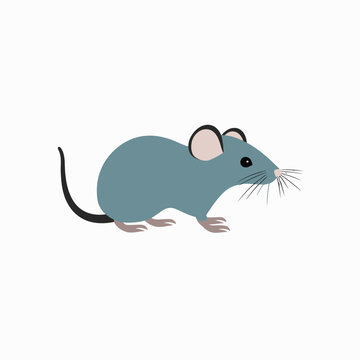 Cute Wild Rat Vector Illustration