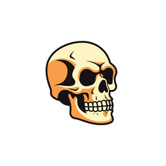 Anatomically correct human skulls set isolated. Hand drawn line art vector illustration.