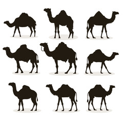 Set Camel silhouette vector illustration