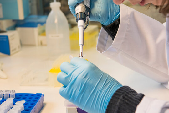 Two hands holding a micropipette and a eppendorf tube in a laboratory with other equipment in the background. Taking out liquid with a pipet from an plastic eppendorf tube.