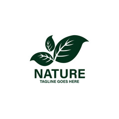 abstract green leaf. illustration of green leaf logo