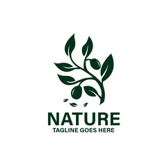 green eco logo.  abstract green eco logo vector