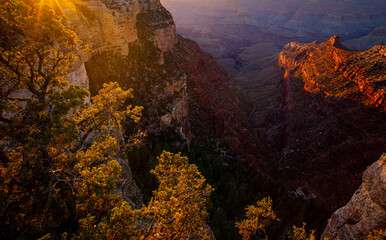 Grand Canyon north rim at golden sunset, Arizona. Red rock canyon panoramic landscape. Canyon...