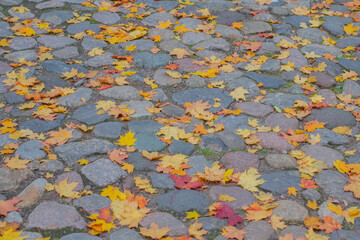 stone pavement texture with fallen leaves in saint-petersburg near the cemetery 