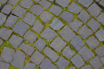 stone pavement texture in saint-petersburg on the vasil'evskiy island