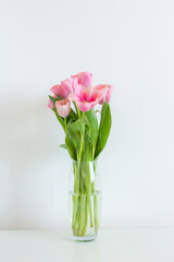 Pink tulips bouquet in glass vase on white background copy space