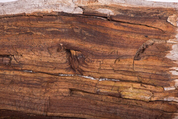 texture wood use as natural background