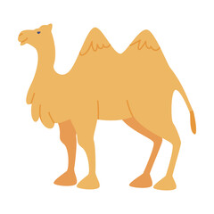 Camel Even-toed Ungulate as Traditional Istanbul Symbol Vector Illustration