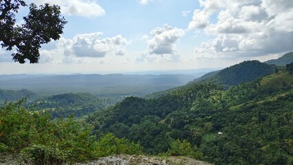 Fototapeta na wymiar View of forest in hills.