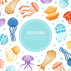 Square Card with Vibrant Jellyfish Having Umbrella-shaped Bells and Trailing Tentacles Vector Template