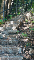 Naklejka na ściany i meble Rustic steps in the forest. Stone steps at the entrance of a castle. Path through the forest.