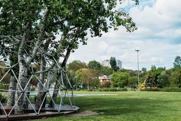 spring park birch trees green grass lawn rest day off may summer blue sky sunny day