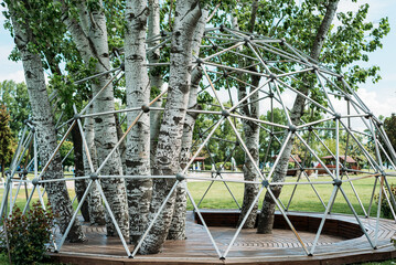 spring park birch trees green grass lawn rest day off may summer blue sky sunny day