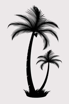 Palm tree vector silhouette A black and white image of two palm trees