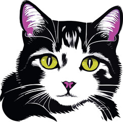 domestic cat head vector drawing flat art