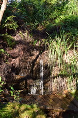 Obraz premium Blue Mountains 