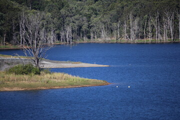 Lake Boatramp and blue treelined water