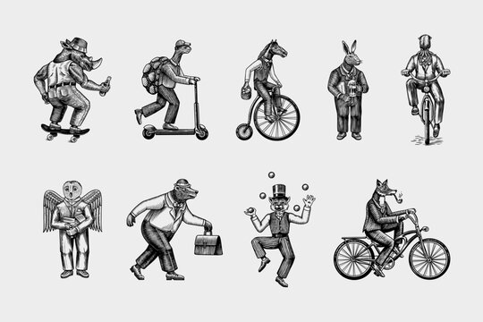 Fox on a bicycle, Cat juggler, turtle on a scooter. Bear, horse, hare, Owl, Squid. Fashion Animal characters set. Hand drawn sketch. Vector engraved illustration for label, logo and Generative AI