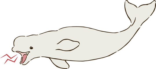 怒るシロイルカ（ベルーガ）