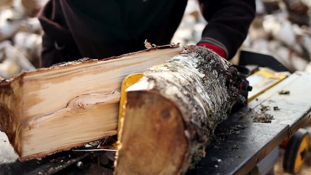 Close up of male hands chopping birch firewood on a hydraulic wood splitter. Sawmill. Birch firewood for fireplac