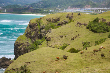 landscape with cliff and sea in Mandalika, Lombok Island, Indonesia