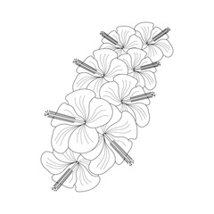 Doodle Flower Drawing Coloring Page For Adults Line Art Vector