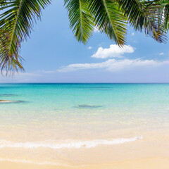 Fototapeta premium Sunny vacation landscape of sea, palms and sky