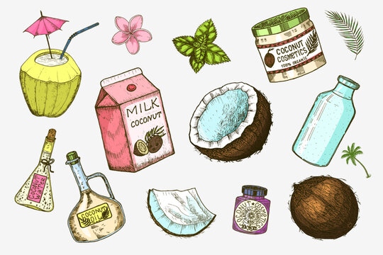 Coconut and palm leaf, Milk packaging, glass bottle, butter, cosmetic cream jar, cocktail with umbrella. Vintage style. Tropical food illustration Generative AI