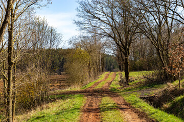 Rural road between agricultural fields, Czech Republic