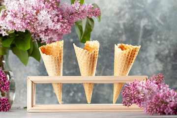 Ice cream waffle cones
