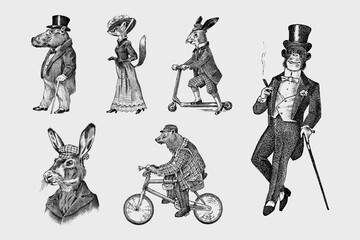 Fototapeta na wymiar Fashion Dog. Animal characters. Brown bear rides a bike. Fox and monkey, hippopotamus and Hare or rabbit on a scooter. Antique gentleman in a cap and coat. Victorian man. Hand drawn old Generative AI
