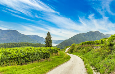 Fototapeta na wymiar Scenic View into the Wachau valley with Danube river. Spitz town. Austria.