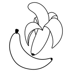 illustration of a banana