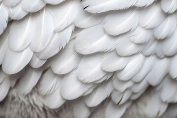 Dense background of white feathers. Close up texture of white swan feather or angel wing. Flat lay bird plumage. Copy space. High resolution. Generative AI, human enhanced